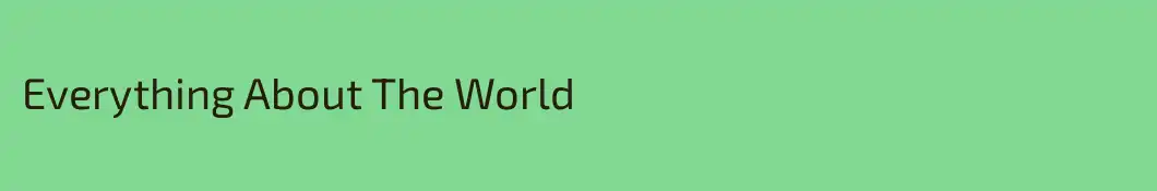 Everything About The World